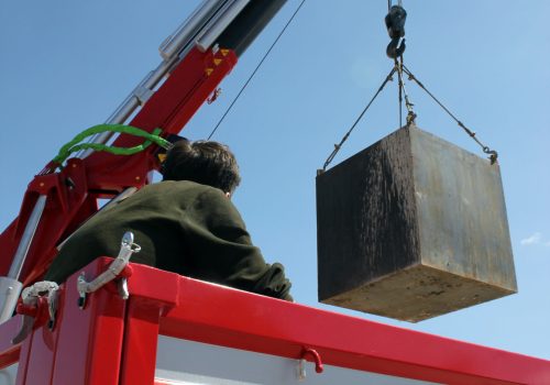 Crane hook and cargo container